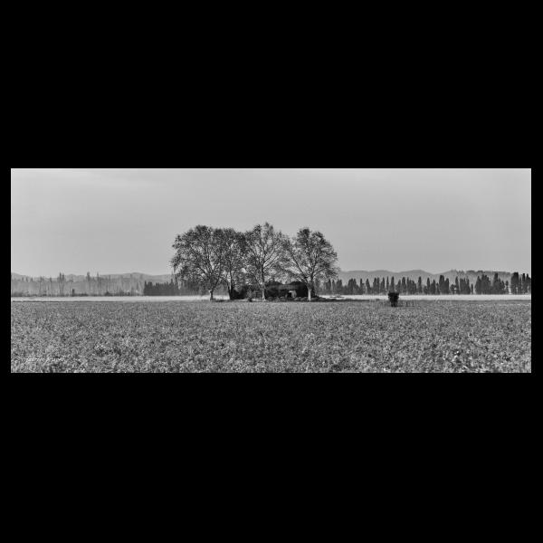 PHOTO84, CLUB, 84 , LUBERON